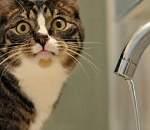 Сегодня пол-Астрахани отключили воду