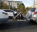 Фото дня: мопедам все возрасты покорны