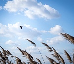 Штормовой ветер будет бушевать в Астрахани и завтра