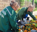 Общественные пространства Астрахани украшают тысячами однолетников