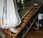 Провальный урожай обернулся судебными исками для астраханских аграриев