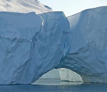 В битве «зеленых бизнесменов» и нефтекоролей проиграет человечество