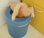 В Национальном рейтинге губернаторов Александра Жилкина обидели ни за что