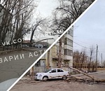 В Астрахани из-за сильного ветра упали два дерева