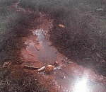 Чтобы законопатить скважину с вонючей водой в Капьяре, нужно два миллиона рублей