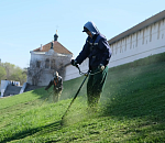 Вдоль Астраханского кремля работают косари