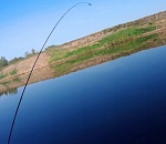 В Астраханской области отец два дня ждал сына домой, но тот не вернулся