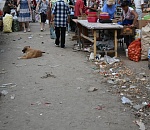 Администрация города вновь очистила Большие Исады