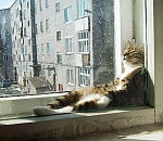 Завтра в Астрахани немного потеплеет