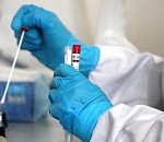 Коронавирус не отступает от Астрахани: 225 новых случаев заболевания