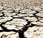 В Астраханской области сохраняется засуха и жара 