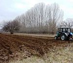 Астраханская область попала в «черный список» внеплановой проверки Рослесхоза