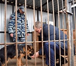 Врио губернатора Астраханской области покормил с рук щенка