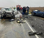 Погибшую на трассе преподавателя АГУ будут судить за смертельное ДТП