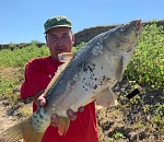 Астраханец поймал шикарного карпа, жирного, как поросёнок