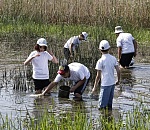 Как астраханские дети спасают рыбную молодь