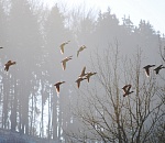 Завтра в Астрахани облачно, дождливо и туманно