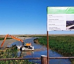 В Наримановском районе выполнили больше половины работ по расчистке водоемов