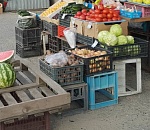 В Астрахани зачистили от незаконной торговли Юго-Восток-3