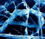 В Астрахани школьник провалился под лед