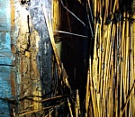 Камыш горит уже прямо в домах астраханцев