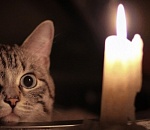 Более 50 улиц Астрахани сегодня останутся без света