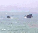 Единственным погибшим среди экипажа сухогруза, затонувшего в Черном море, оказался астраханец