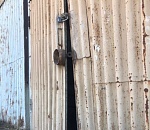 В Астрахани неизвестные попытались выпустить бродячих собак из пункта временного содержания