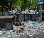 В Астрахани в мусорном контейнере нашли труп