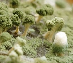 В астраханском супермаркете продавался детский сок с плесенью