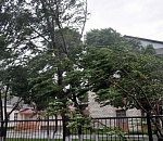 На Астрахань надвигается ураганный ветер