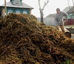 Не дельный обзор. Смело смотрим в Новый год - саранча, навоз, помет!