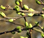 Астрахань побила рекорд по теплу