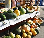 В субботу жителей Астрахани приглашают на сельхозярмарку