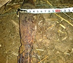 В Астраханской области обнаружили снаряд времён ВОВ 