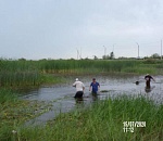 В 200 водоемах  Астраханской области есть угроза замора рыбы