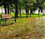 Ночью в Астраханской области температура будет почти на нуле 