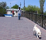 Завтра Астраханская область переходит на второй этап снятия ограничений