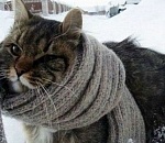 В пятницу в Астрахани похолодает