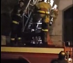 В центре Астрахани пожарные спасали кота, застрявшего на крыше (ВИДЕО)