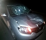 Под Астраханью насмерть сбили пешехода