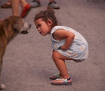 Астраханские зооволонтёры простерилизовали больше уличных собак, чем «Чистый город»