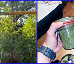 У 60-летнего астраханца полиция нашла 2,5 кг нарковеществ