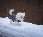 Мороз отступает: завтра в Астрахани будет чуть теплее