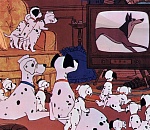 Астраханка "прописала" в квартире 35 собак