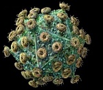 Эпидемия в Астрахани – корь скосила 15 студентов медакадемии