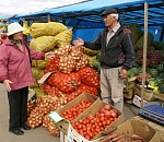 Сельхозпроизводство в Астраханской области выросло на 2,6%