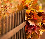 Астраханцев ждет теплое, но дождливое воскресенье