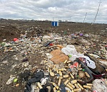 В Ленинском районе Астрахани обнаружили стихийный мусорный полигон