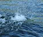 В Астрахани на днях утонули четыре человека, среди них-ребенок